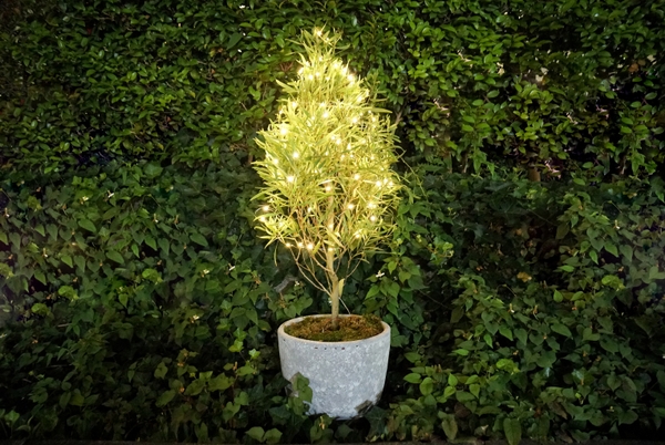 ストリングスタイプ