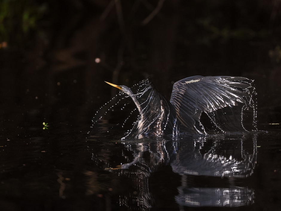 CREATIVE & DIALOGUE no.4