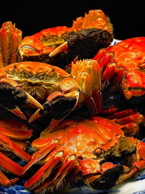 “秋の美食、ここに極まる”麻布十番の本格中華「シーファン」、 待望の【上海蟹特別コース】を10月14日より期間限定で提供開始