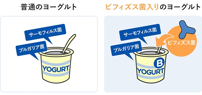 ヨーグルトにおける大きな違い