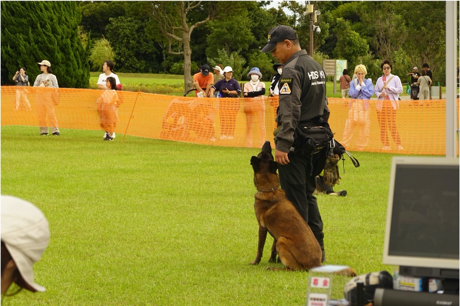 災害救助犬デモンストレーション(2)