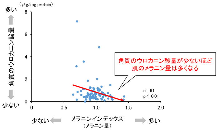 図2　ウロカニン酸量とメラニン量との関連