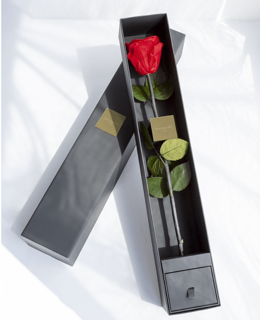 The  One Special Edition　税別￥20,000