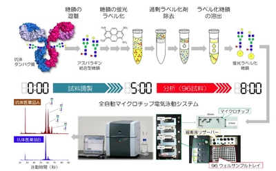 糖鎖解析において、世界最高レベルの高処理能力を実現　抗がん剤などのバイオ医薬品の開発を加速させる技術として期待