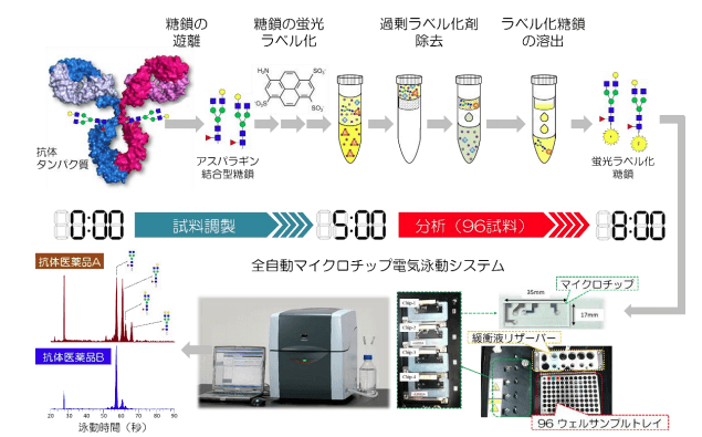 開発した糖鎖解析システムの概要を示した図