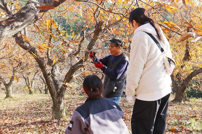 くりくり園社内研修 剪定体験