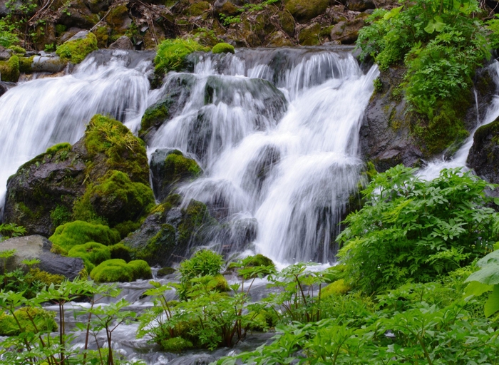 羊蹄山湧水イメージ