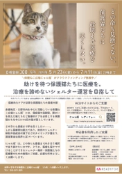 保護猫たちの治療を諦めないシェルター運営を目指し、 7月11日までクラウドファンディングを実施