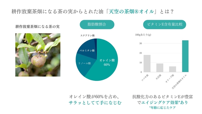 茶の実オイルの成分