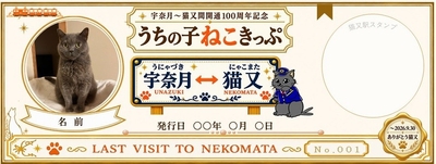 うちの子ねこきっぷ　見本