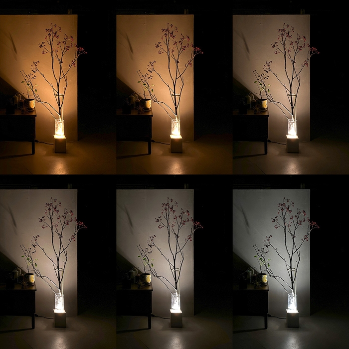 調色機能(2,800~6,500ケルビン)