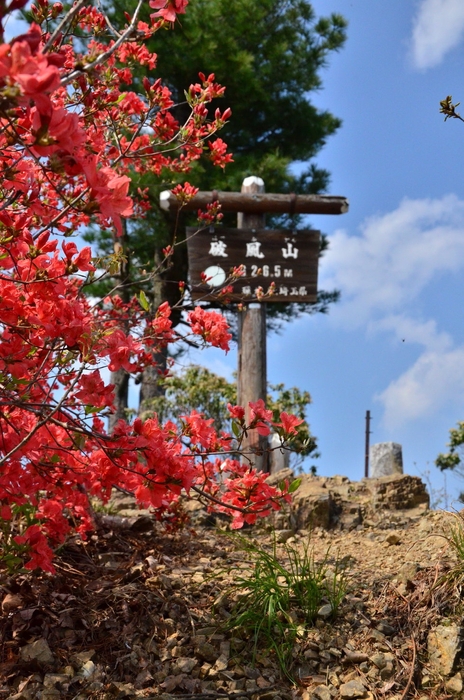 秩父名山イメージ(破風山)