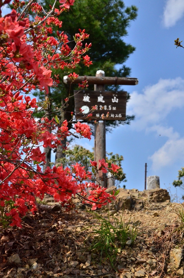 秩父名山イメージ(破風山)
