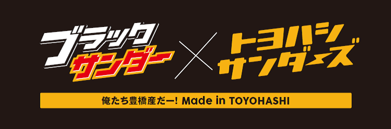 トヨハシサンダーズロゴ