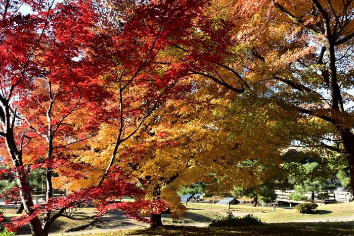 旧芝離宮恩賜庭園