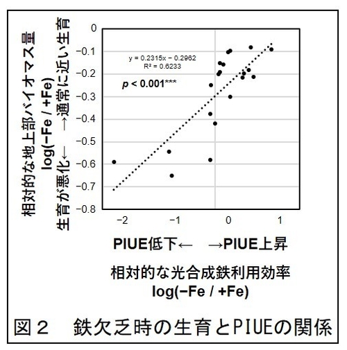 図2　鉄欠乏時の生育とPIUEの関係