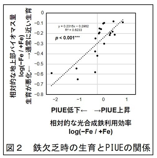 図2 鉄欠乏時の生育とPIUEの関係