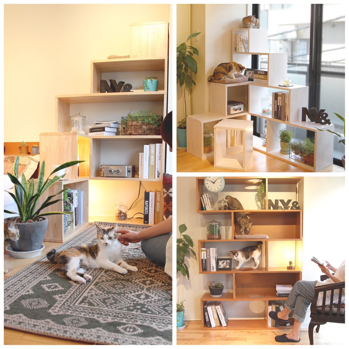 前作 NY& SHELFシリーズ1 キャットタワーにもなる本棚、飾り棚