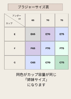 サイズ