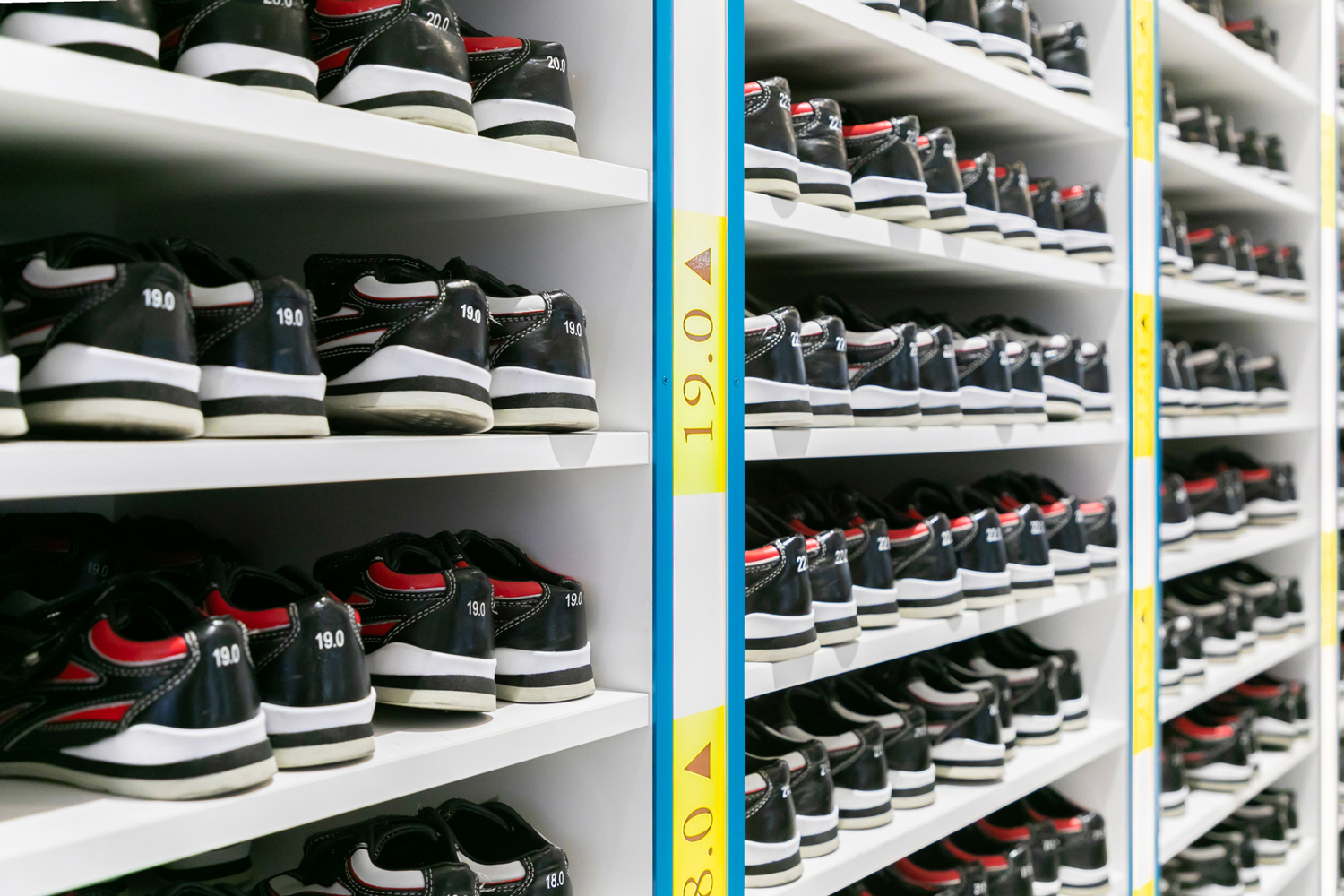 地元の港南区、南区、磯子区在住者限定!地元応援、貸シューズ無料キャンペーンを実施