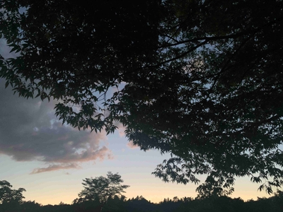 朝や夕方にはマジックアワーの景色をお楽しみいただけます