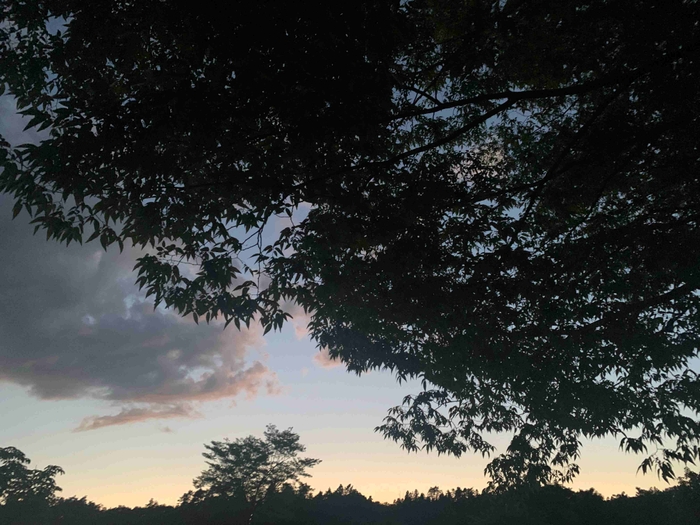 朝や夕方にはマジックアワーの景色をお楽しみいただけます