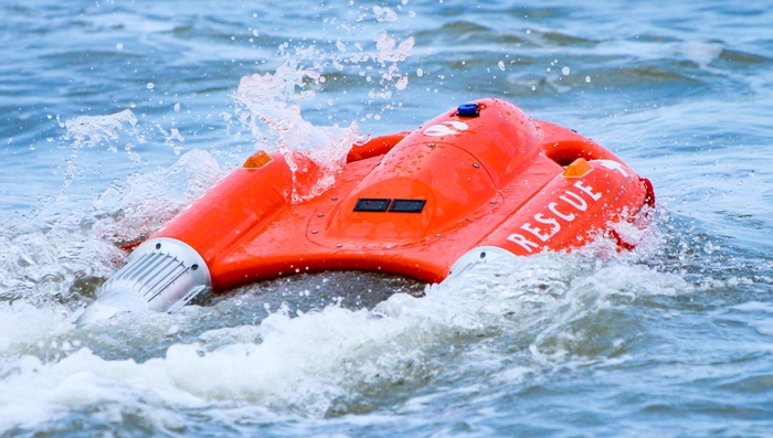 Dolphin1 商品画像3