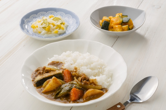 大阪泉州産　水茄子の夏野菜カレーセット(水茄子の夏野菜カレー・コールスロー・かぼちゃのサラダ)