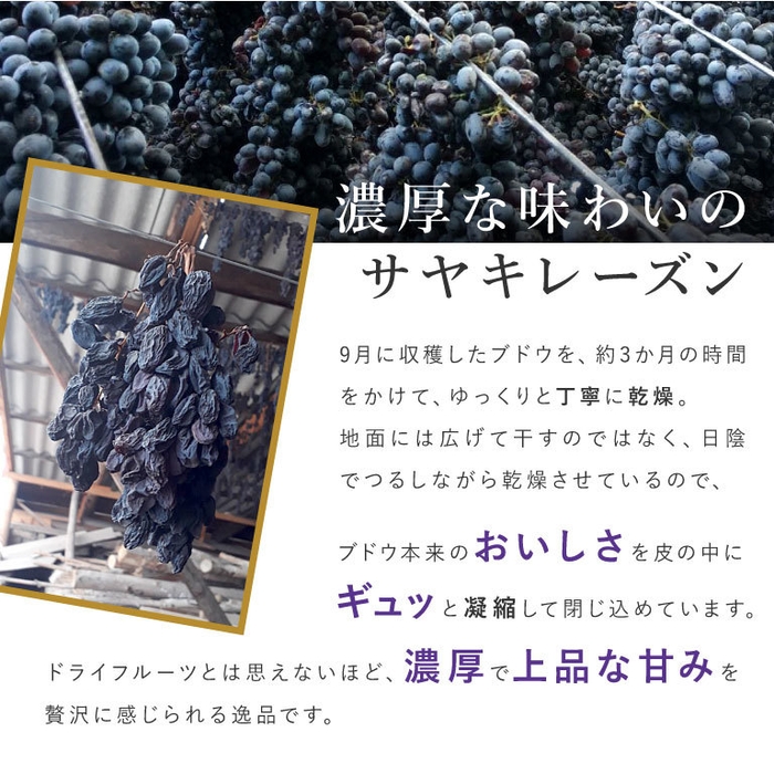 プレミアムサヤキレーズン(3)