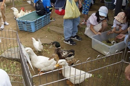 ふれあい動物園の様子