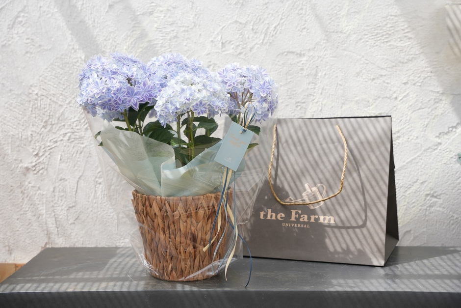 母の日ギフト向けギフト/全国発送可能(ラッピング仕様)