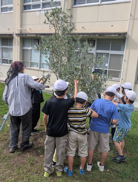 地域の方と収穫体験。