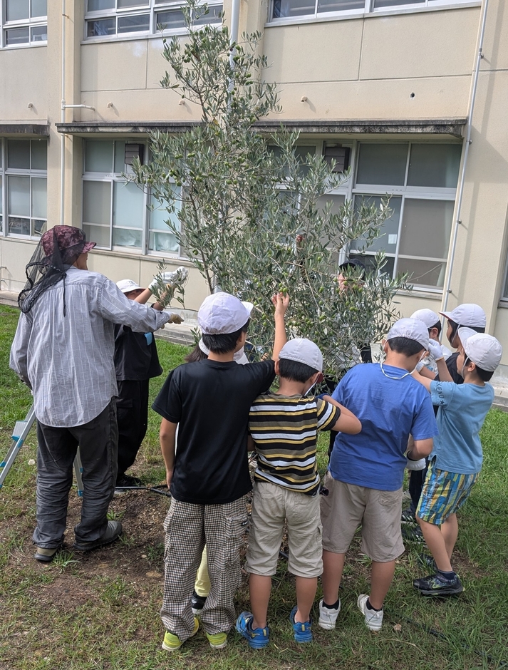地域の方と収穫体験。