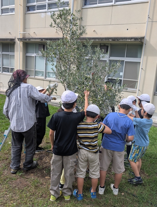 地域の方と収穫体験。
