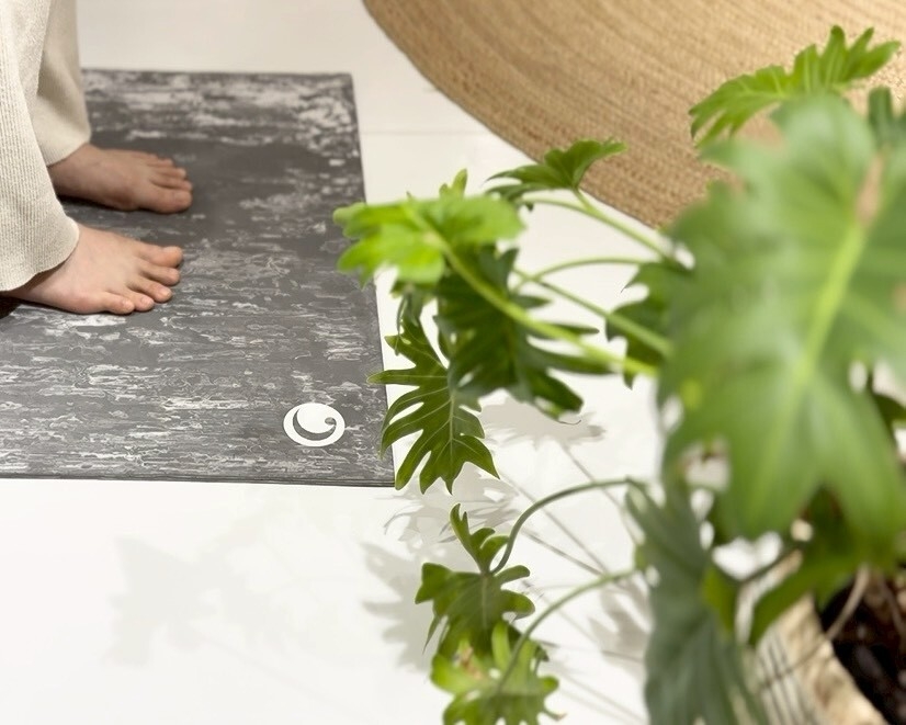 サダナ・ウェルネスのある空間2