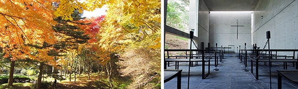 左から)六甲高山植物園、風の教会(六甲の教会)