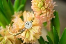 「Muguet」販売価格：￥75,000(税抜)