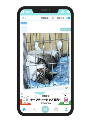 日常投稿