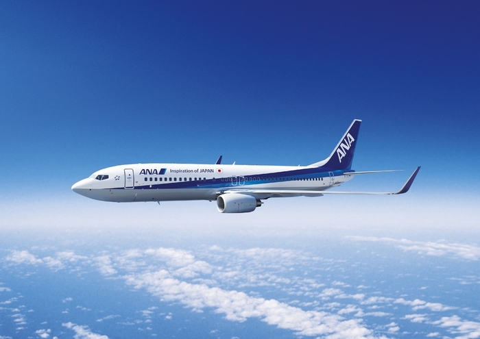 ANA中部宮古線 往復航空券(2)