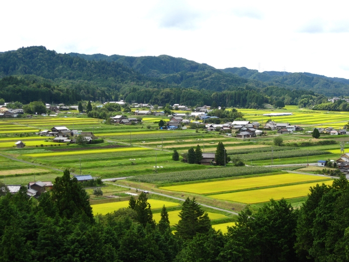 眼下に広がる総面積約150haの田園