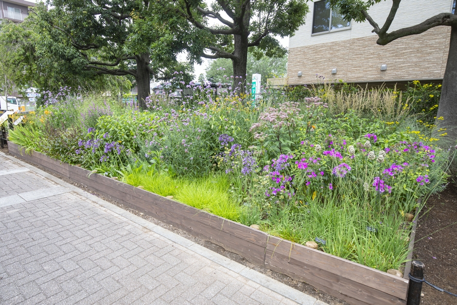 第２回神代植物公園のグランプリガーデン