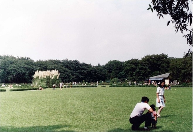 パンパスグラス(平成3年度)