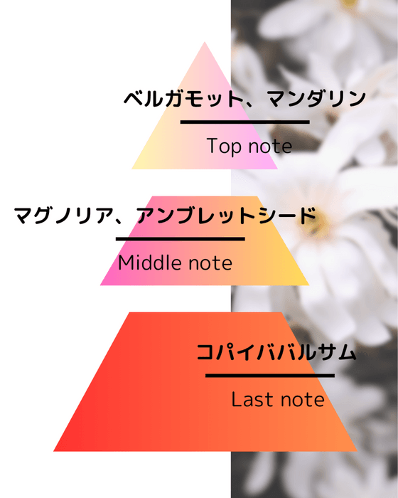 ▲マグノリア