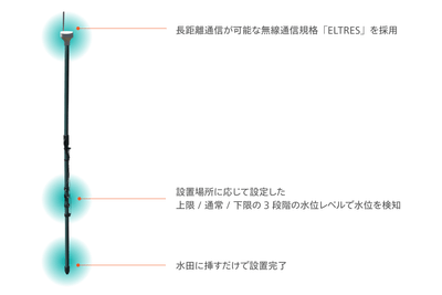 特長