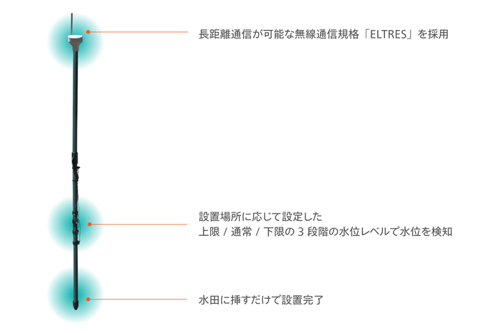 特長