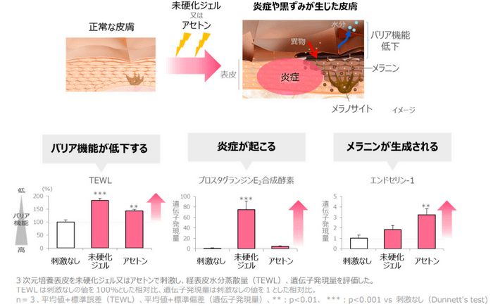 図1　未硬化ジェルやアセトンによる手湿疹（炎症）や黒ずみの発症機序を解明