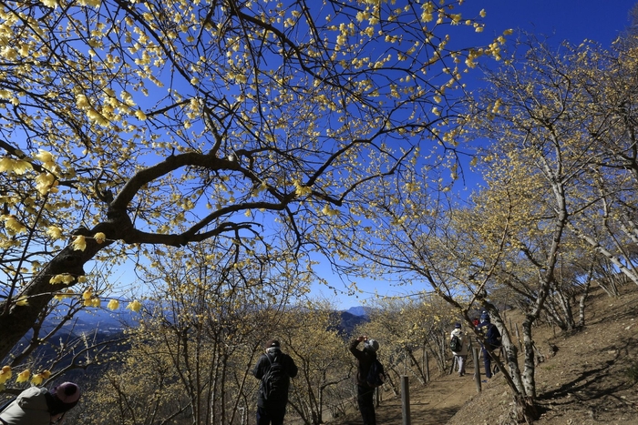 ハイキングイメージ(1)