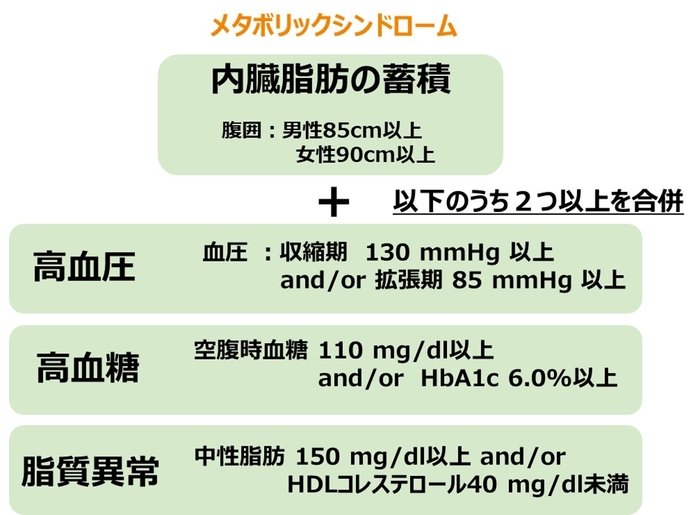 メタボリックシンドローム