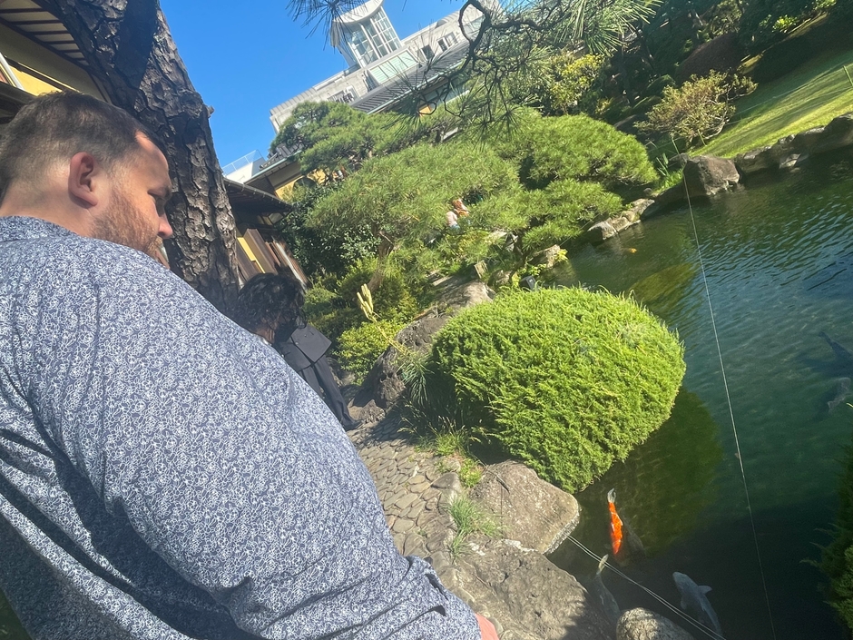 ※ 熱海市 起雲閣(きうんかく)の錦鯉(にしきごい)