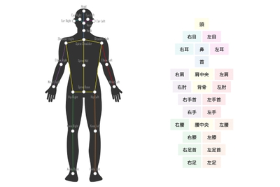 VisionPose Nano『高速化BodyAndColor(β)』で取得できる2D座標(22箇所)